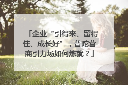 企业“引得来、留得住、成长好”，普陀营商引力场如何炼就？