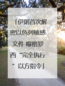 伊朗首次解密以色列敏感文件 曝格罗西“完全执行”以方指令