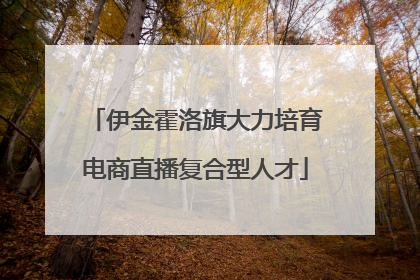 伊金霍洛旗大力培育电商直播复合型人才