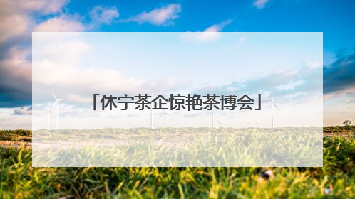 休宁茶企惊艳茶博会
