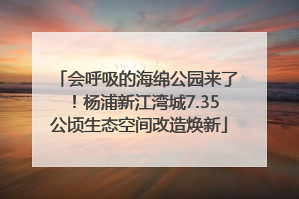 会呼吸的海绵公园来了！杨浦新江湾城7.35公顷生态空间改造焕新
