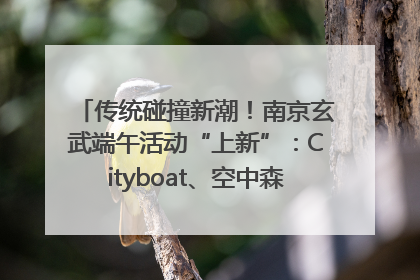 传统碰撞新潮！南京玄武端午活动“上新”：Cityboat、空中森林、骑行市集引热潮
