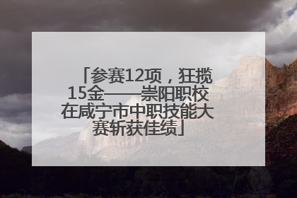 参赛12项，狂揽15金——崇阳职校在咸宁市中职技能大赛斩获佳绩