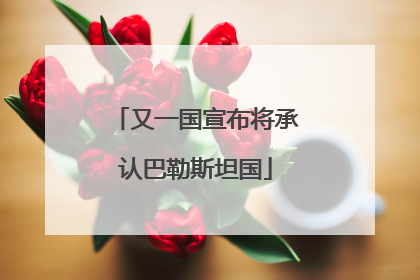 又一国宣布将承认巴勒斯坦国
