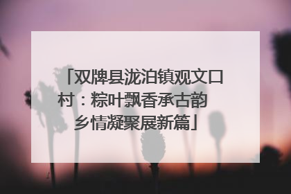 双牌县泷泊镇观文口村：粽叶飘香承古韵 乡情凝聚展新篇