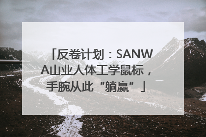 反卷计划：SANWA山业人体工学鼠标，手腕从此“躺赢”