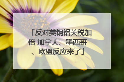 反对美钢铝关税加倍 加拿大、墨西哥、欧盟反应来了
