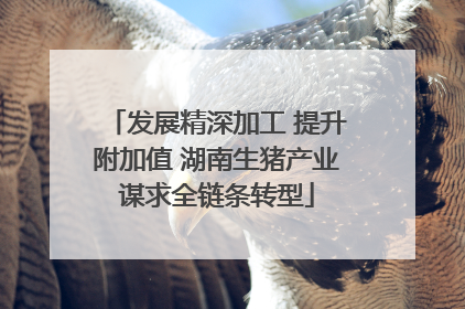 发展精深加工 提升附加值 湖南生猪产业谋求全链条转型