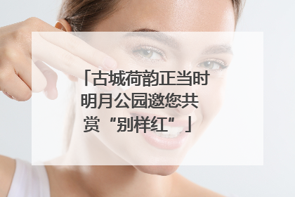 古城荷韵正当时 明月公园邀您共赏“别样红”