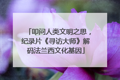 叩问人类文明之思，纪录片《寻访大师》解码法兰西文化基因