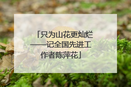 只为山花更灿烂——记全国先进工作者陈萍花