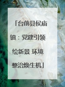台前县侯庙镇：党建引领绘新景 环境整治焕生机