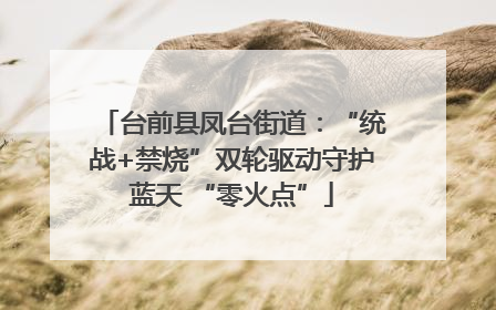 台前县凤台街道：“统战+禁烧”双轮驱动守护蓝天 “零火点”