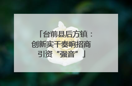 台前县后方镇：创新实干奏响招商引资“强音”