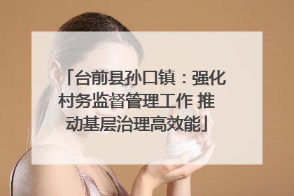 台前县孙口镇：强化村务监督管理工作 推动基层治理高效能