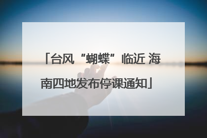 台风“蝴蝶”临近 海南四地发布停课通知