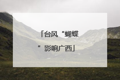 台风“蝴蝶”影响广西