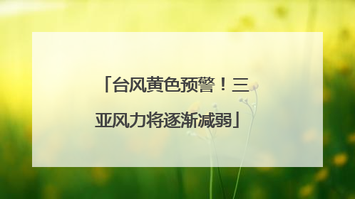 台风黄色预警！三亚风力将逐渐减弱