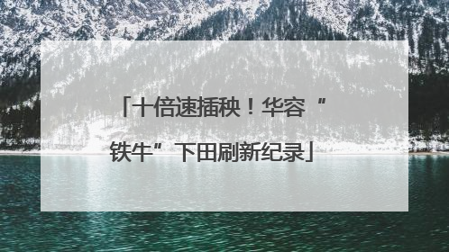 十倍速插秧！华容“铁牛”下田刷新纪录