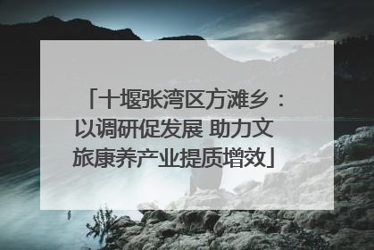 十堰张湾区方滩乡：以调研促发展 助力文旅康养产业提质增效