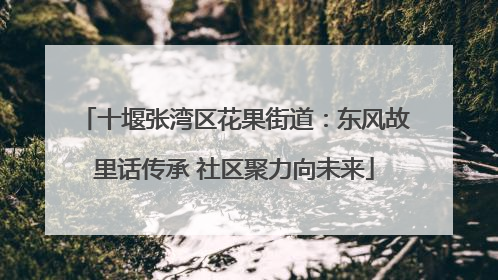 十堰张湾区花果街道：东风故里话传承 社区聚力向未来