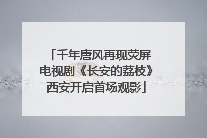 千年唐风再现荧屏 电视剧《长安的荔枝》西安开启首场观影