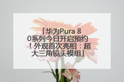 华为Pura 80系列今日开启预约！外观首次亮相：超大三角镜头模组
