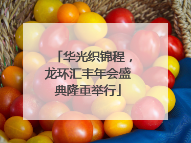 华光织锦程，龙环汇丰年会盛典隆重举行