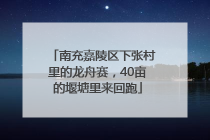 南充嘉陵区下张村里的龙舟赛，40亩的堰塘里来回跑