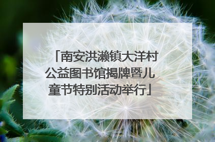 南安洪濑镇大洋村公益图书馆揭牌暨儿童节特别活动举行