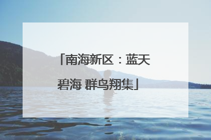 南海新区：蓝天碧海 群鸟翔集