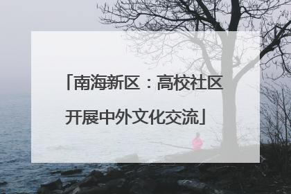 南海新区：高校社区开展中外文化交流