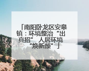 南阳卧龙区安皋镇：环境整治“出真招” 人居环境“焕新颜”