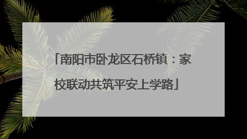 南阳市卧龙区石桥镇：家校联动共筑平安上学路