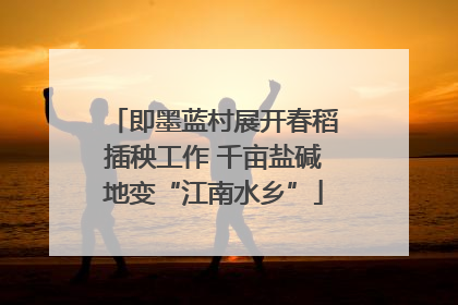 即墨蓝村展开春稻插秧工作 千亩盐碱地变“江南水乡”