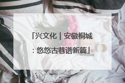 兴文化｜安徽桐城：悠悠古巷谱新篇