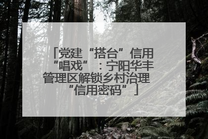 党建“搭台”信用“唱戏”：宁阳华丰管理区解锁乡村治理“信用密码”