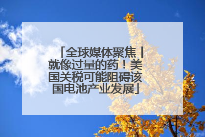 全球媒体聚焦丨就像过量的药！美国关税可能阻碍该国电池产业发展