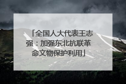全国人大代表王志强：加强东北抗联革命文物保护利用