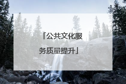 公共文化服务质量提升