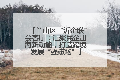 兰山区“沂企联”会客厅：汇聚民企出海新动能，打造跨境发展“强磁场”