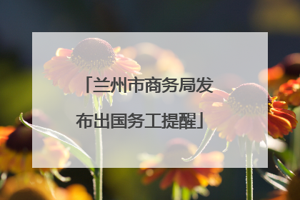 兰州市商务局发布出国务工提醒