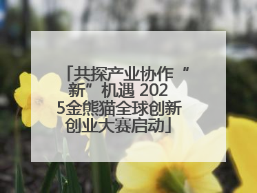 共探产业协作“新”机遇 2025金熊猫全球创新创业大赛启动