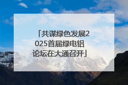 共谋绿色发展2025首届绿电铝论坛在大通召开