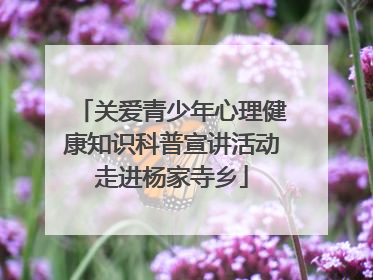 关爱青少年心理健康知识科普宣讲活动走进杨家寺乡