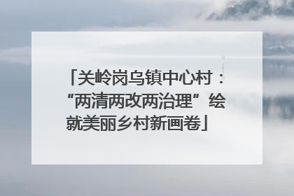 关岭岗乌镇中心村：“两清两改两治理”绘就美丽乡村新画卷