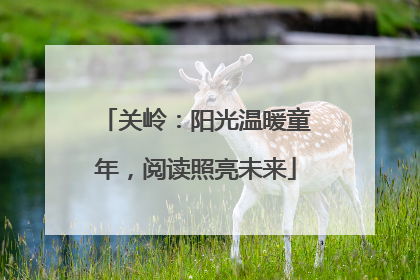 关岭：阳光温暖童年，阅读照亮未来