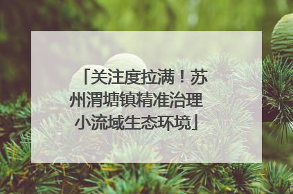 关注度拉满！苏州渭塘镇精准治理小流域生态环境