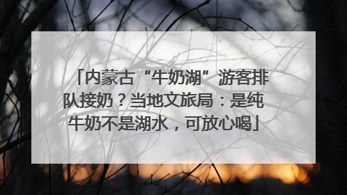 内蒙古“牛奶湖”游客排队接奶？当地文旅局：是纯牛奶不是湖水，可放心喝
