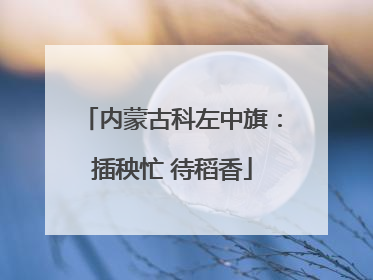 内蒙古科左中旗：插秧忙 待稻香